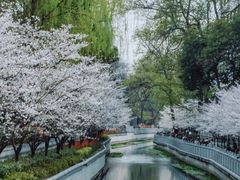 -鸡鸣寺