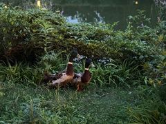 -天目湖涵田度假村