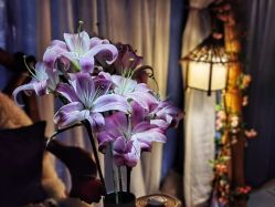 -琦品高端美容SPA私佳美场