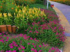 -长春公园(普阳街道)