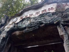 -莫里热带雨林景区