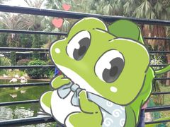 -九龙公园