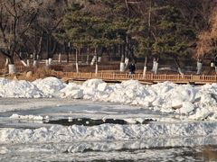 -长春市南湖公园