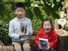 -蕃茄田艺术•美术绘画 •硬笔书法(滨江海威领界店)