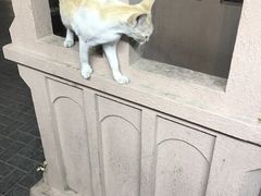 -迪拜黄金市场