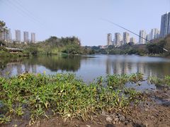 -重庆彩云湖湿地公园