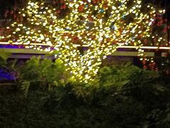 -茅草房·河畔园林火锅