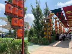 -中国马镇舞马世界主题乐园