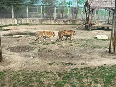 -西安秦岭野生动物园