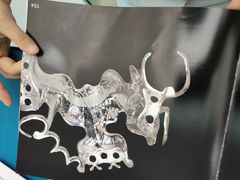 -深圳富茂格伦菲尔口腔门诊部(龙华清湖总院)
