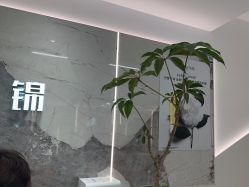 -LJOY丽锦造型·烫发染发