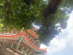 -广东圆玄道观