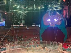 -俄罗斯国家大马戏团