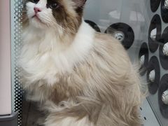 -FAELING PETS美天灵宠物(富力广场店)
