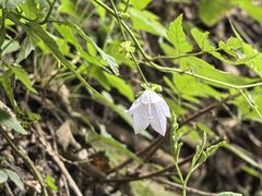 -终南山南五台景区