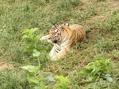 -大连森林动物园