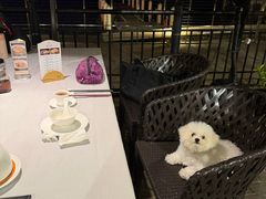 -金悦轩海鲜城(渔人码头店)