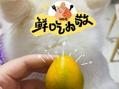 -果蔬好生活超市(东湖店)