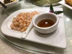 滑炒河虾仁-顺风海鲜港(长寿路店)