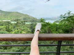 -深圳仙湖植物园-停车场