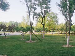 -西海子公园