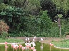 -杭州野生动物世界