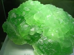 -湖南省地质博物馆