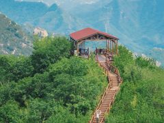 -大岭沟猕猴桃谷风景区