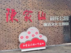 -陈家山荷花公园