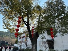 -惠山古镇·寄畅园