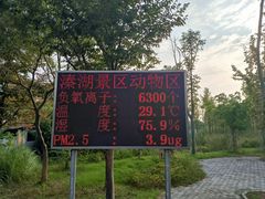 -溱湖国家湿地公园