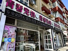 -青奢宠物·青奢猫舍