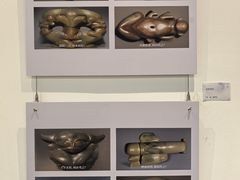 -中国宋庆龄青少年科技文化交流中心