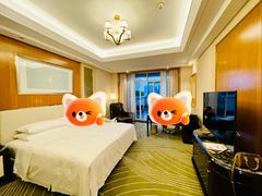 -常州武进九洲喜来登酒店