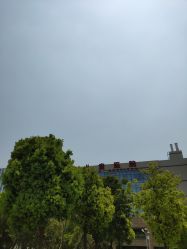 -厦门市儿童医院