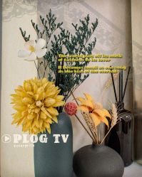 点击看大图 -薇兰专业脱毛连锁机构