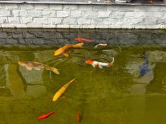 -燕北云山·农家菜·灶台鱼(密云溪翁庄店)