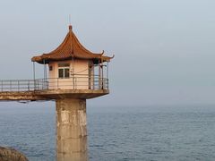 -小麦岛公园