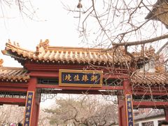 -桃花堤公园