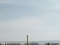 -哈素海