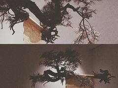 -上海宝龙美术馆