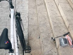 -道路口单车爱瓦士dahon大行