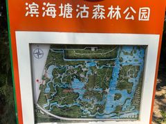 -塘沽森林公园
