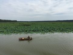 -微山湖红荷湿地景区
