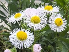 -耶里夏丽·新疆菜·28年喀什老馆(田林东路店)