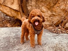 -碓臼峪自然风景区