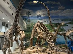 -自贡恐龙博物馆