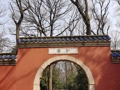 -灵谷景区