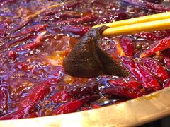 精品鲜毛肚-小龙坎火锅(春熙太古里店)