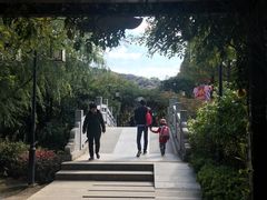 -白马涧龙池景区